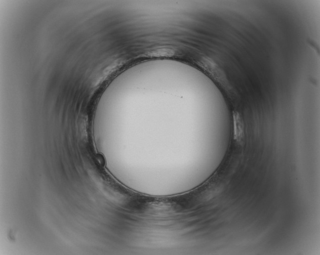 X0000103280300200809121951