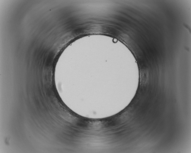 X0000103280301200809121951