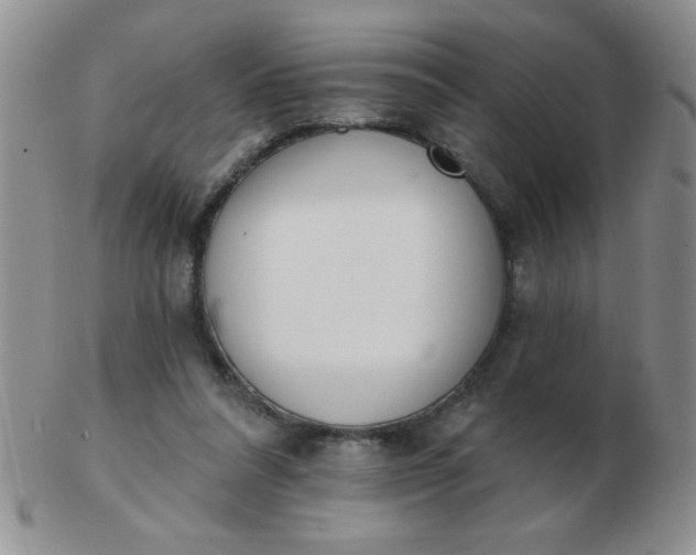 X0000103280304200809121951