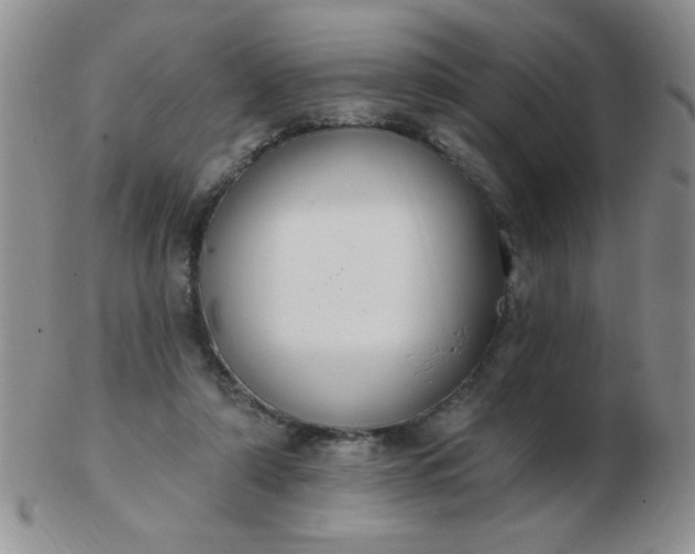 X0000103280306200809121951