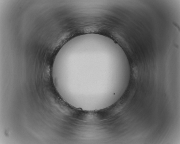 X0000103280308200809121951