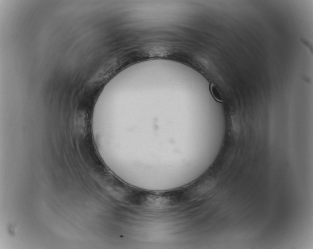 X0000103280311200809121951