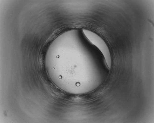 X0000103280312200809121951