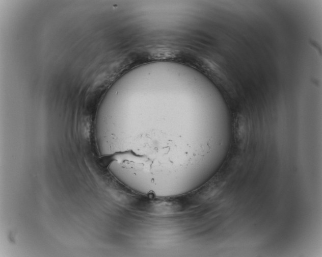 X0000103280315200809121951