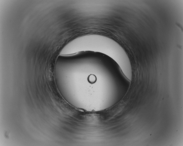 X0000103280316200809121951