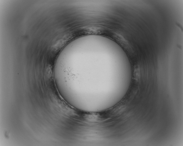 X0000103280318200809121951