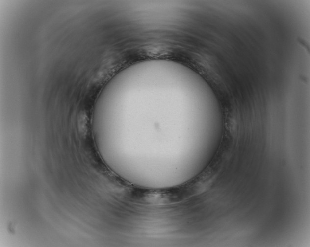 X0000103280319200809121951