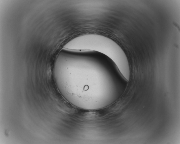 X0000103280320200809121951