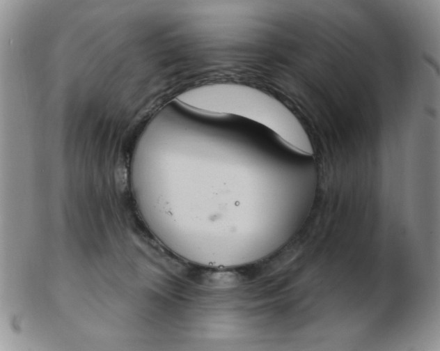 X0000103280324200809121951