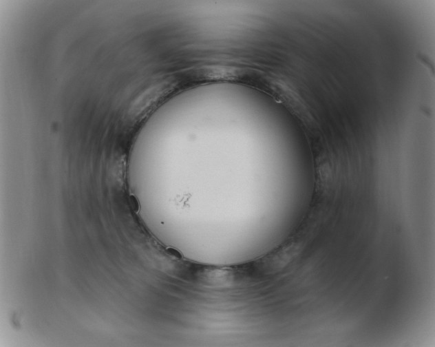 X0000103280325200809121950