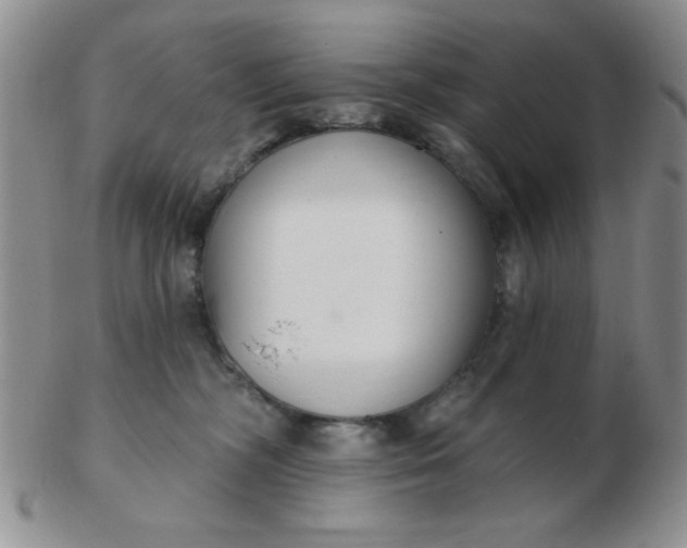 X0000103280326200809121950