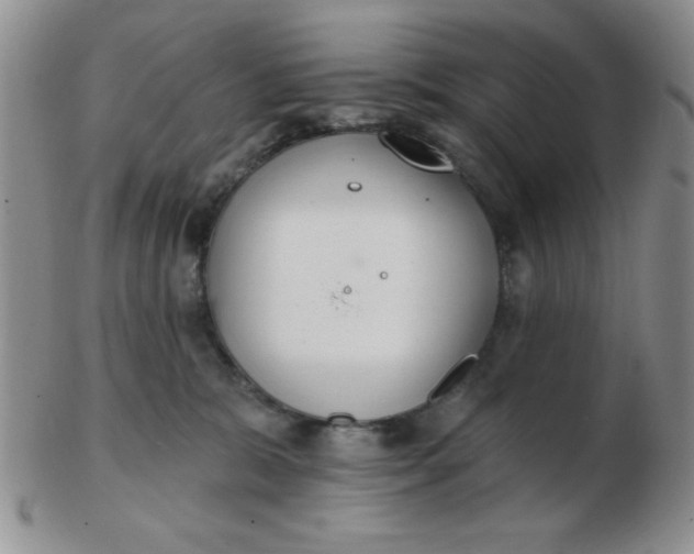 X0000103280327200809121950