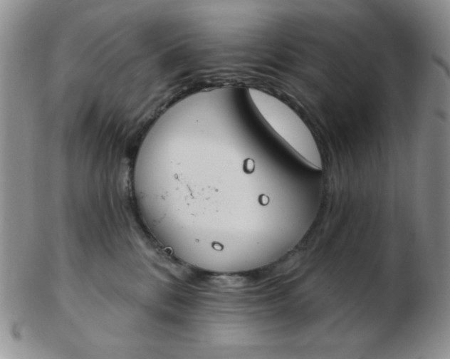 X0000103280328200809121950