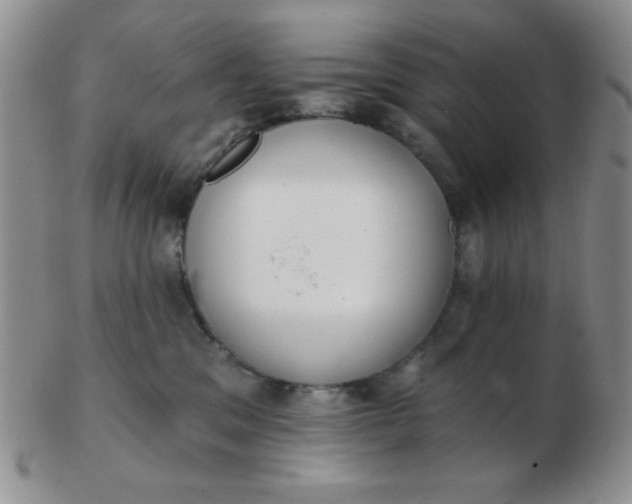 X0000103280329200809121950