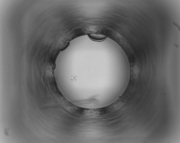 X0000103280331200809121950