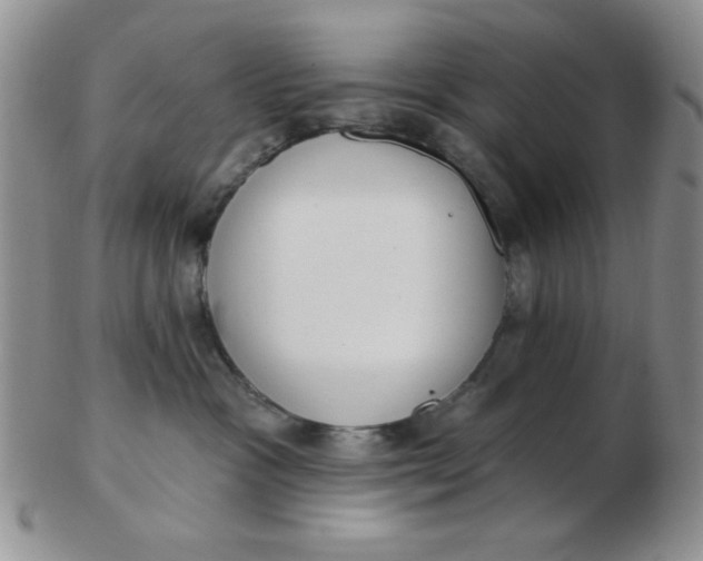 X0000103280333200809121950