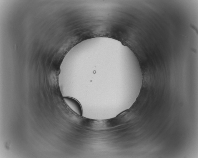 X0000103280335200809121950