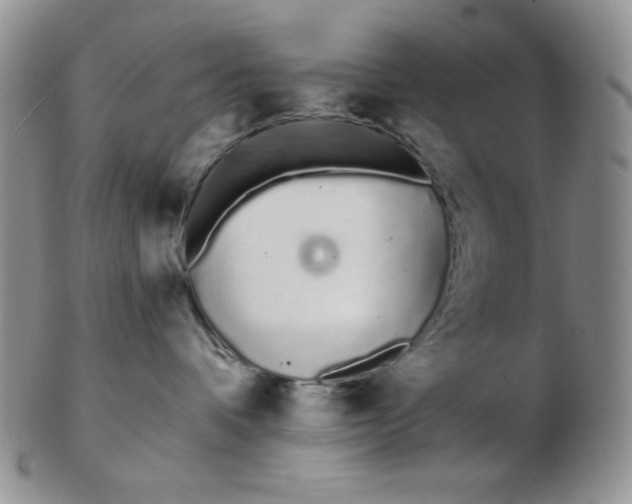 X0000103280336200809121950