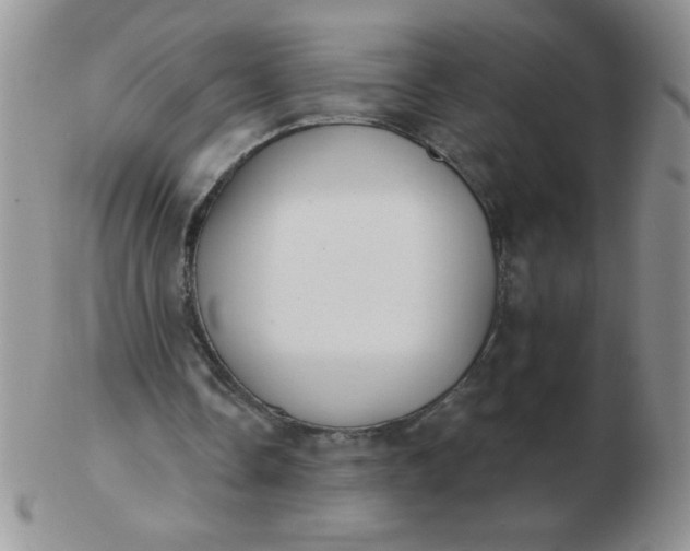 X0000103280338200809121950