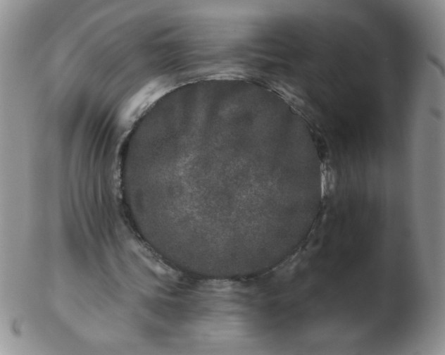 X0000103280339200809121950