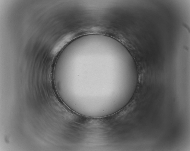 X0000103280341200809121950