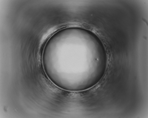 X0000103280343200809121950