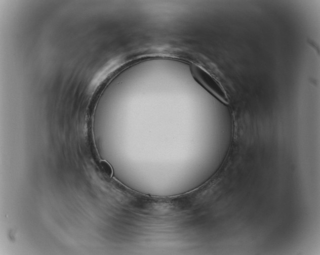 X0000103280344200809121950