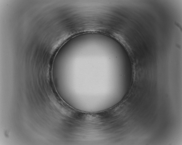 X0000103280346200809121950