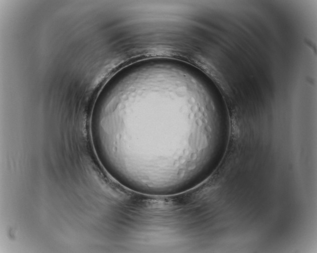 X0000103280347200809121950