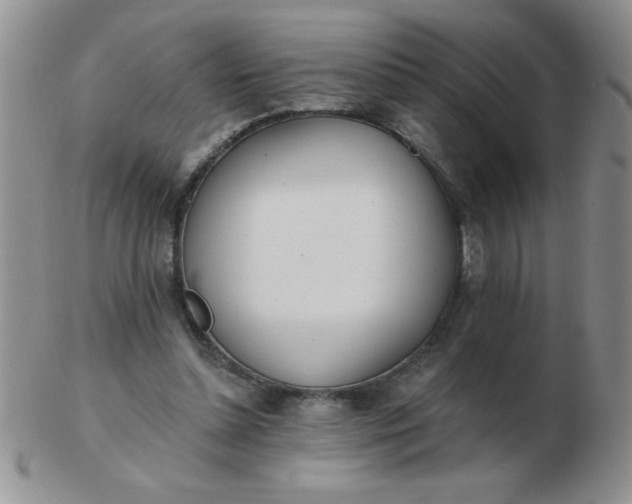 X0000103280348200809121950