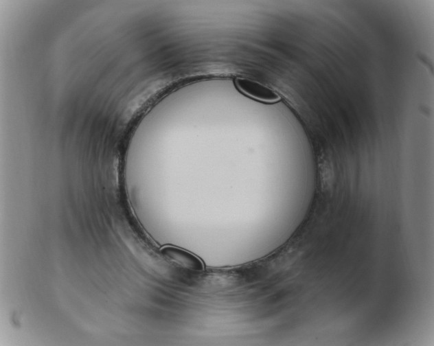 X0000103280350200809121950