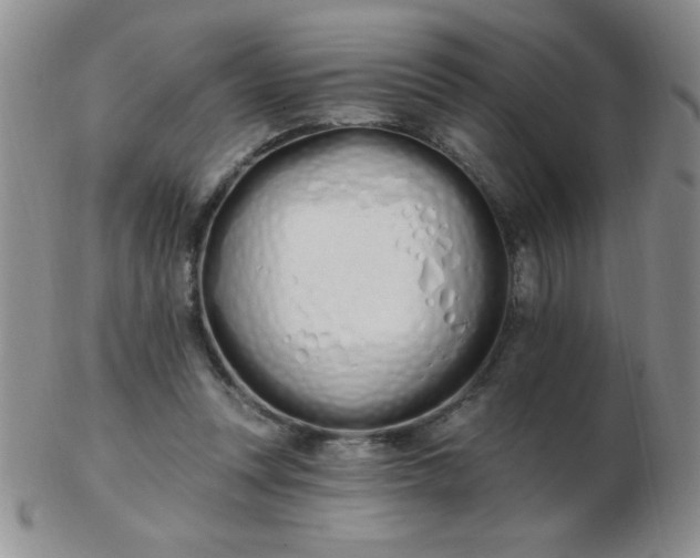 X0000103280351200809121950