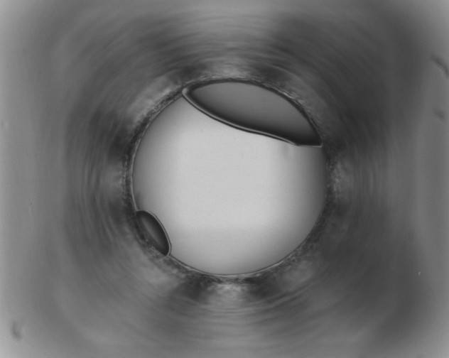 X0000103280352200809121950