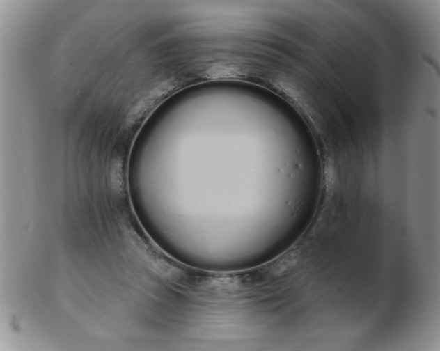 X0000103280353200809121950