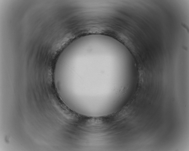 X0000103280354200809121950