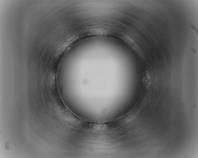 X0000103280355200809121950