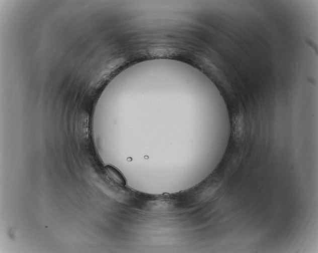 X0000103280356200809121950