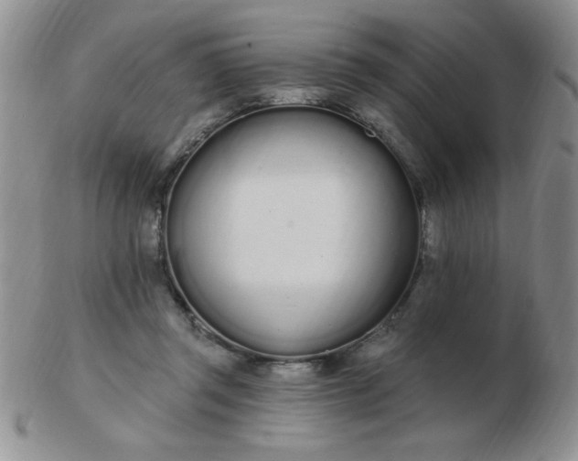 X0000103280357200809121950