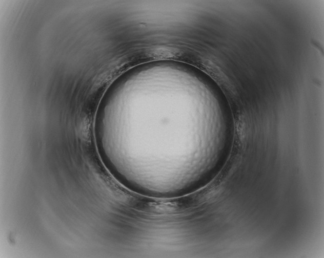 X0000103280359200809121950