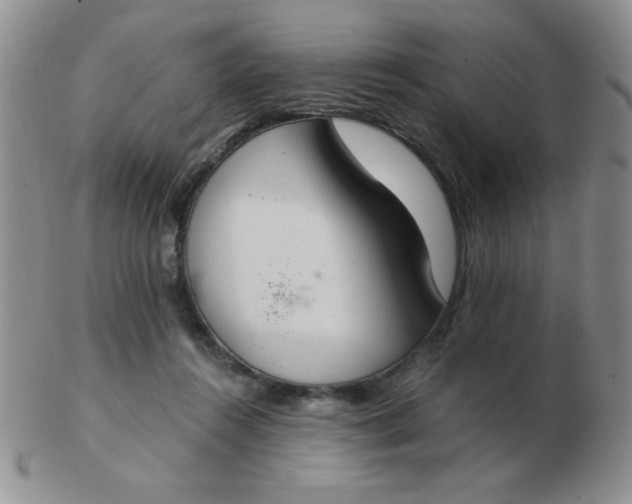 X0000103280360200809121950