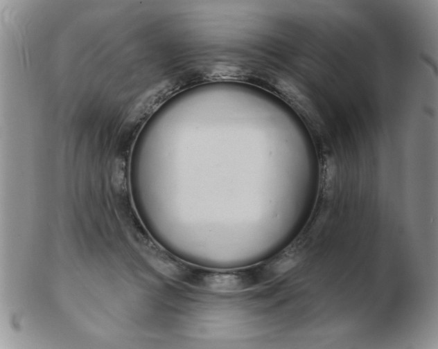 X0000103280361200809121950