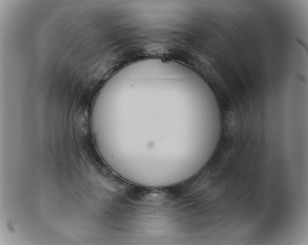 X0000103280364200809121950