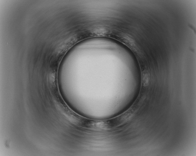 X0000103280365200809121950