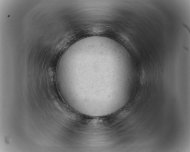 X0000103280366200809121950