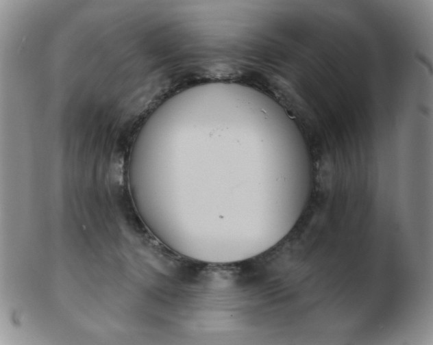 X0000103280368200809121950