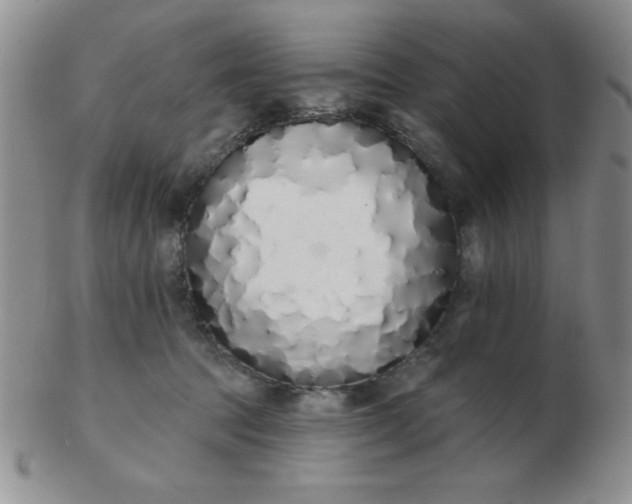 X0000103280369200809121950