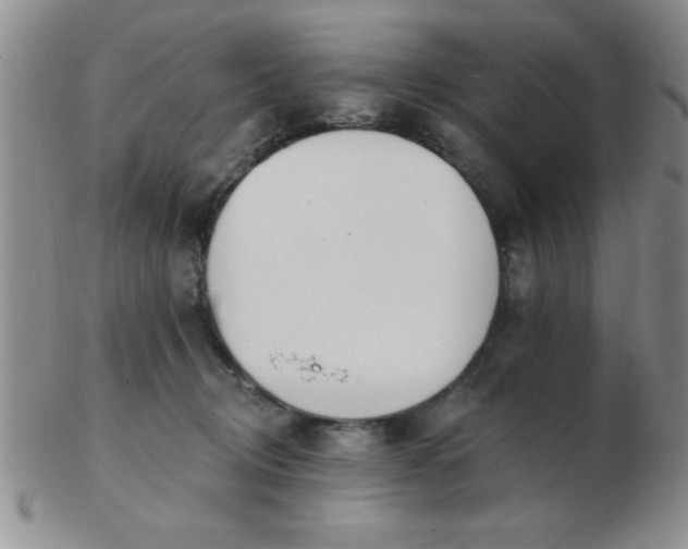 X0000103280370200809121950