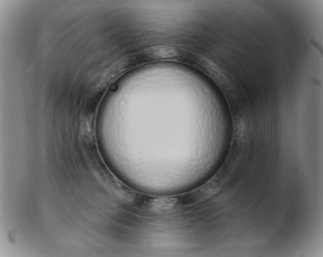 X0000103280373200809121950