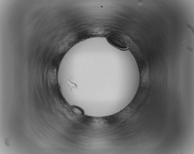 X0000103280376200809121950