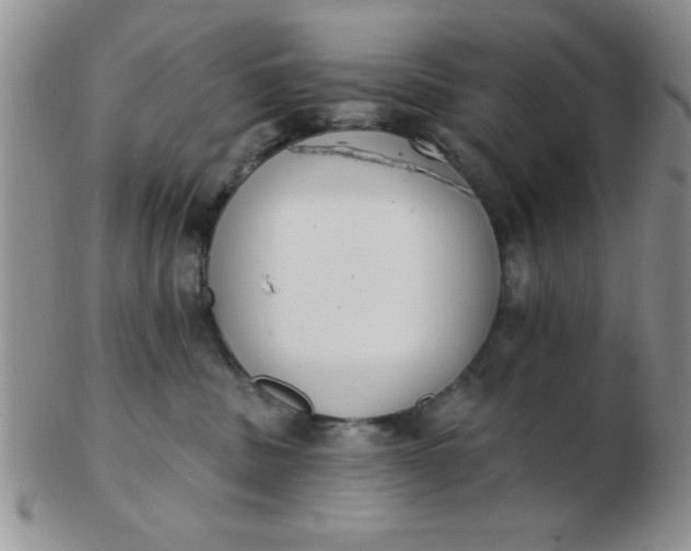 X0000103280379200809121950